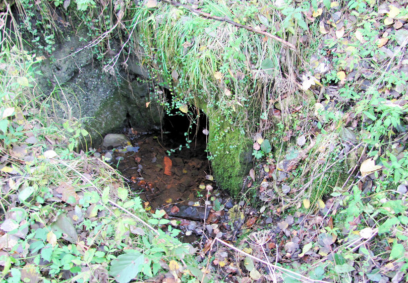 studánka Odbočka Petřvald (5125)