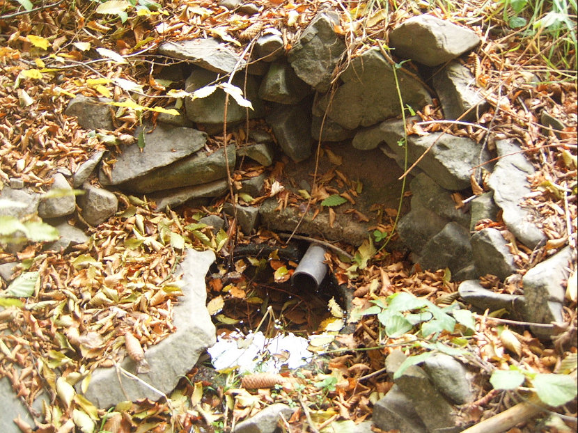 studánka V Sečském žlebu (5131)