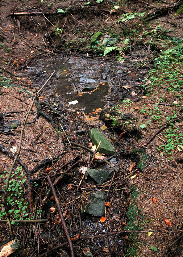 studánka Pramen Za Kršlenicú II  (5139)