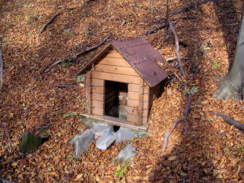 studánka Pod Vysoků (5146)