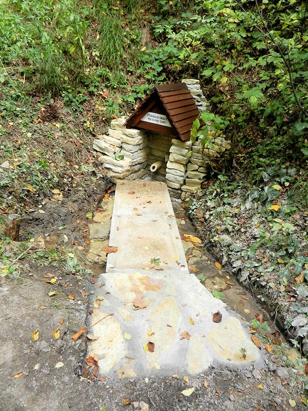 studánka Na Americe (Pod Zelenou žábou) (5148)