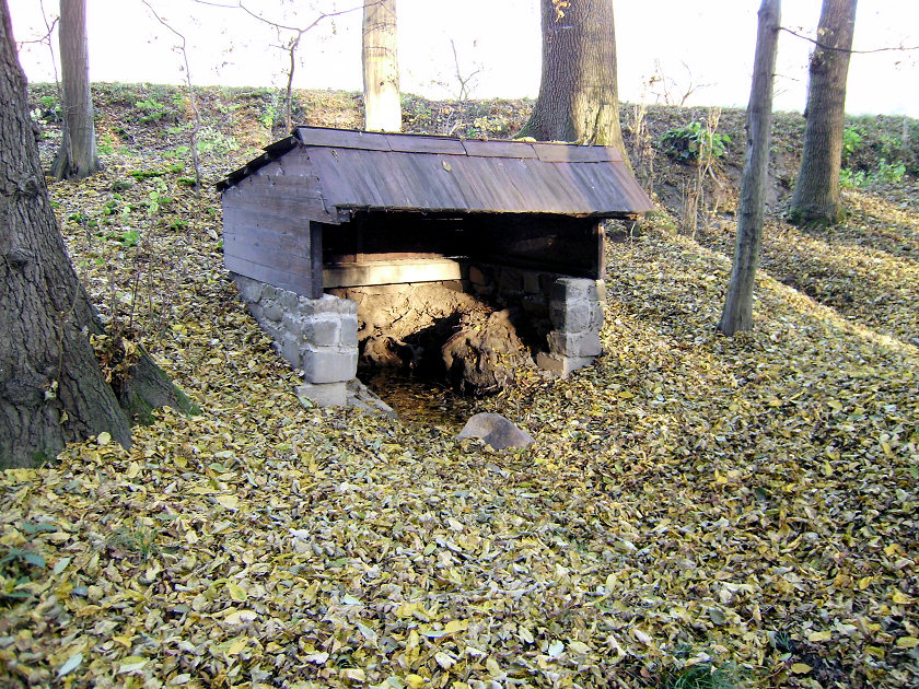 studánka bez jména (5156)