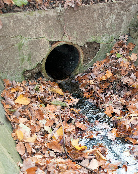 studánka Zálesí (5159)