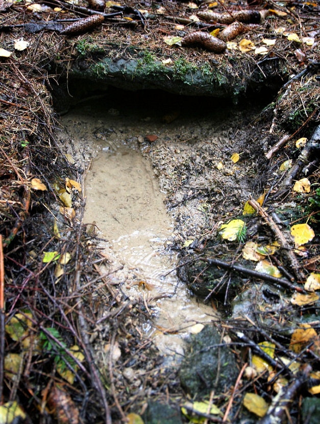 studánka Pod Kameněm (5165)