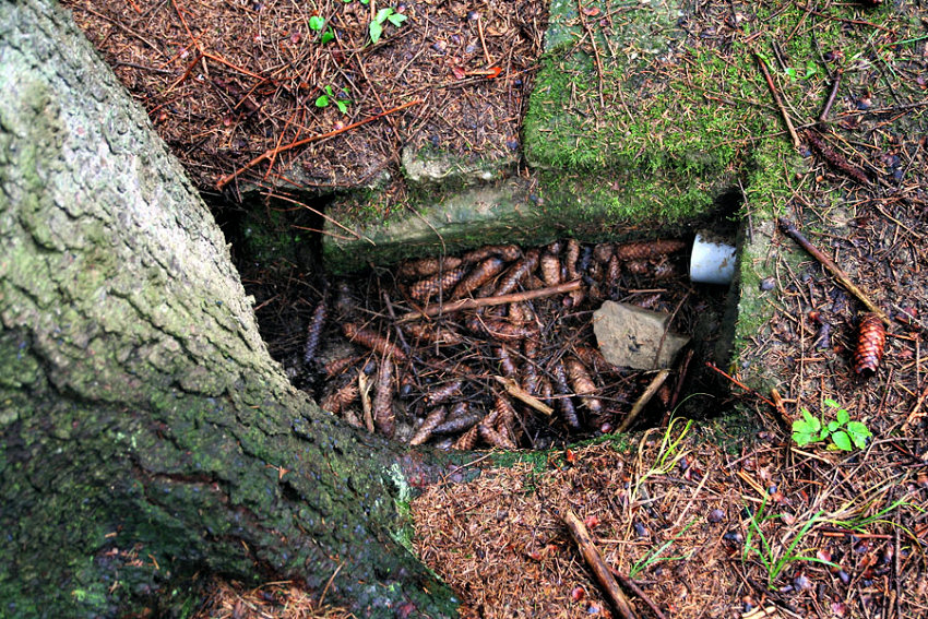 pramen Pod Březinou (5166)