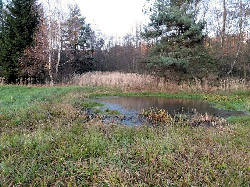 prameniště Na Kačině (5169)
