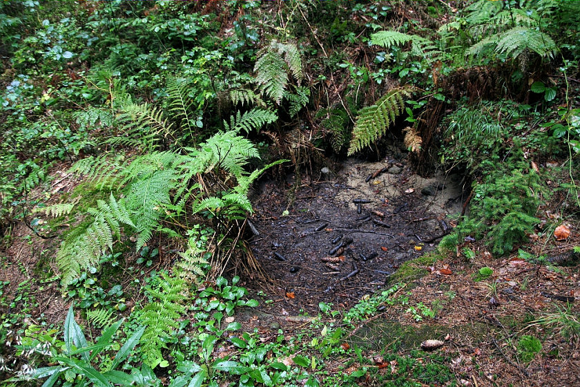 studánka Na Hlinském (5172)