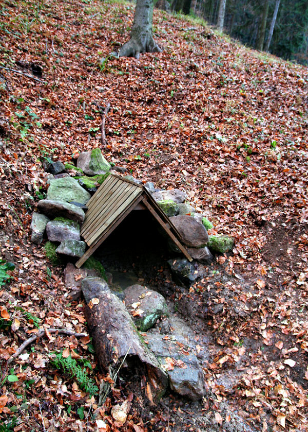 studánka Butorek (5174)