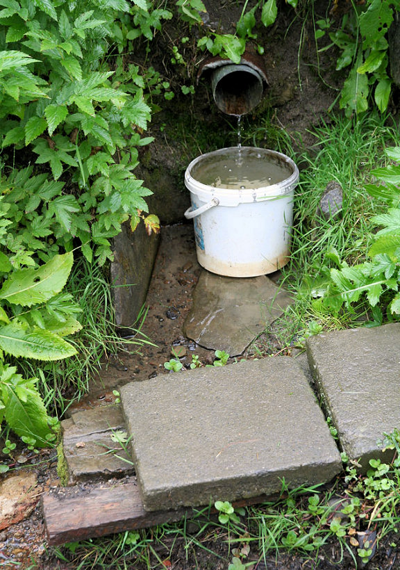 studánka Rubisko (5175)