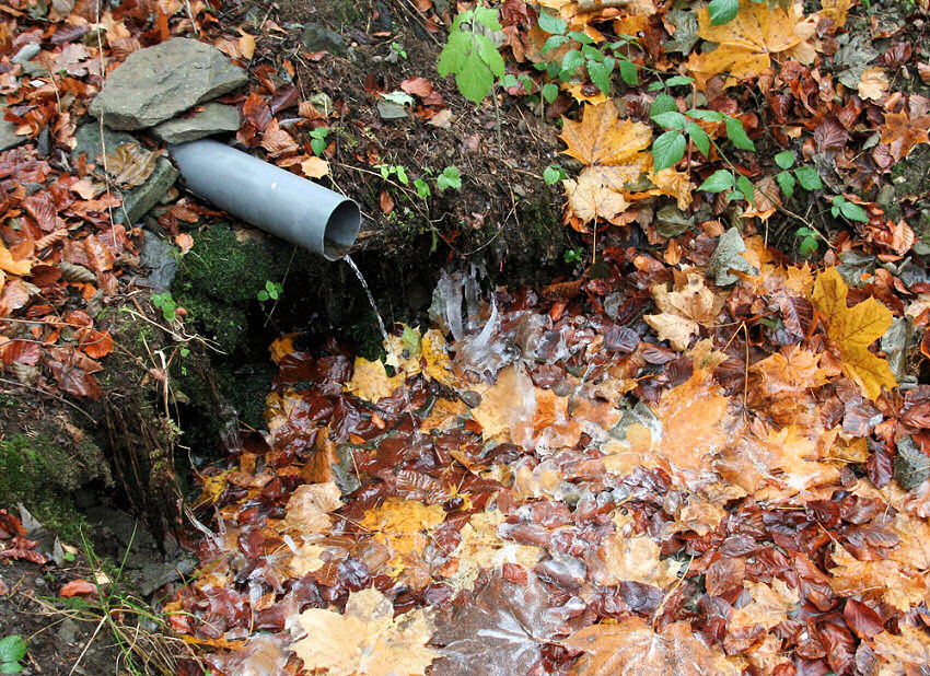 studánka U Kostelní cesty (5176)