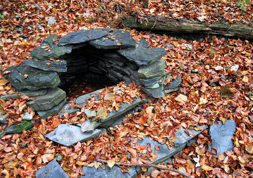 studánka U Šifrovy jeskyně (5180)