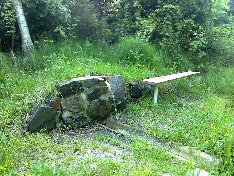 studánka U Honova mlýna (5181)
