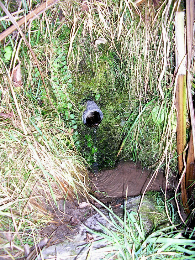 Studánka nad Olšinkou (5185)