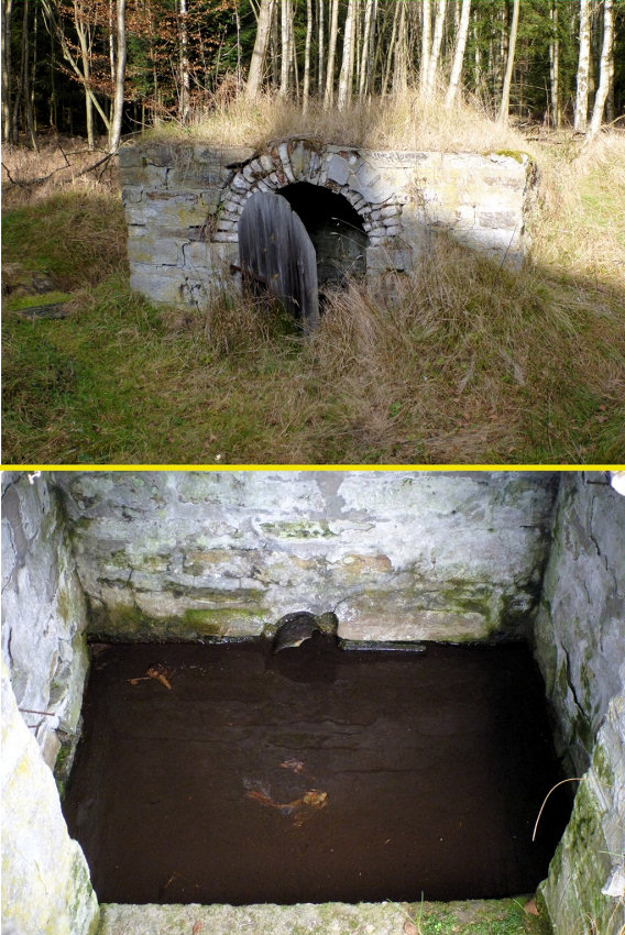 studánka U nádraží (5190)