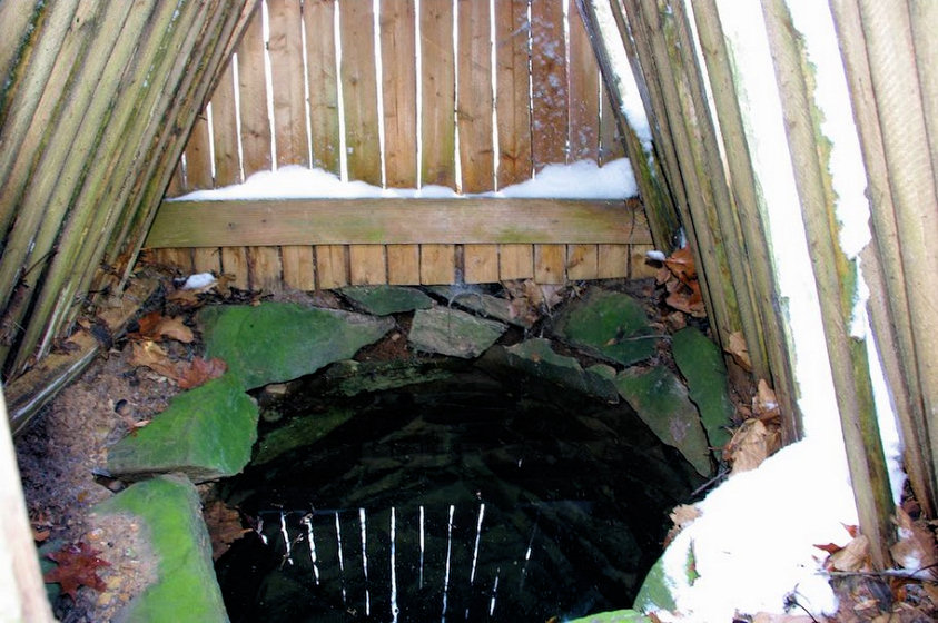 studánka bez jména (5203)