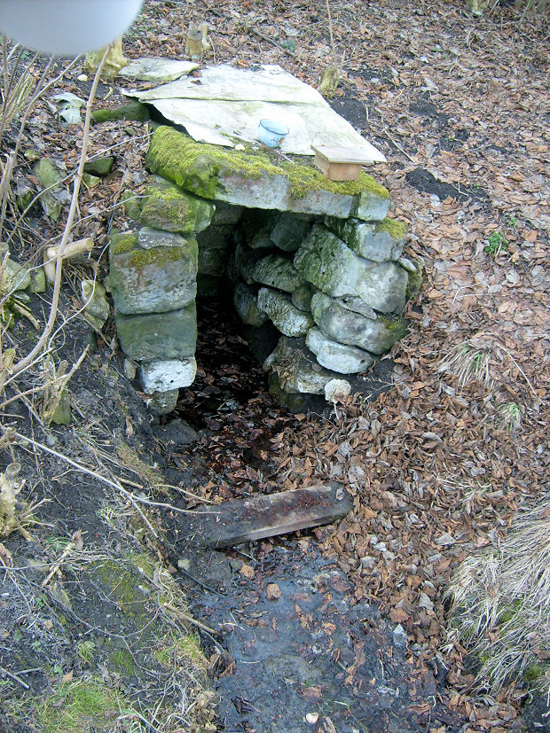studánka Pod Bučinkou (5205)