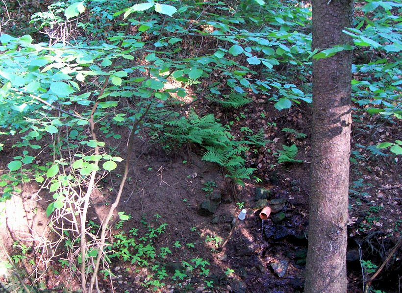 studánka V Homolce (5209)