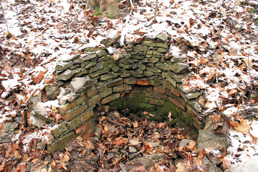 studánka Pod Osikem (5214)
