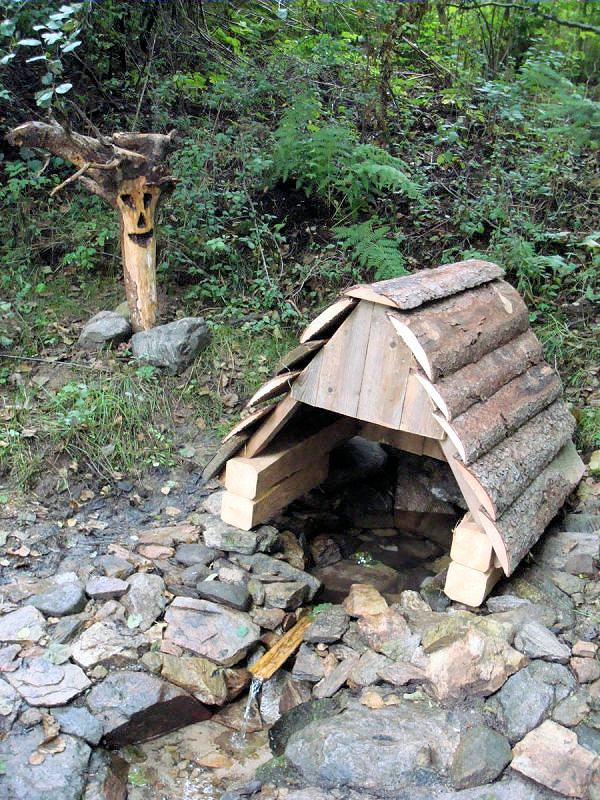 Dřešínská studánka (5216)