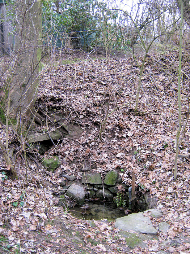 studánka Terůvky (5217)