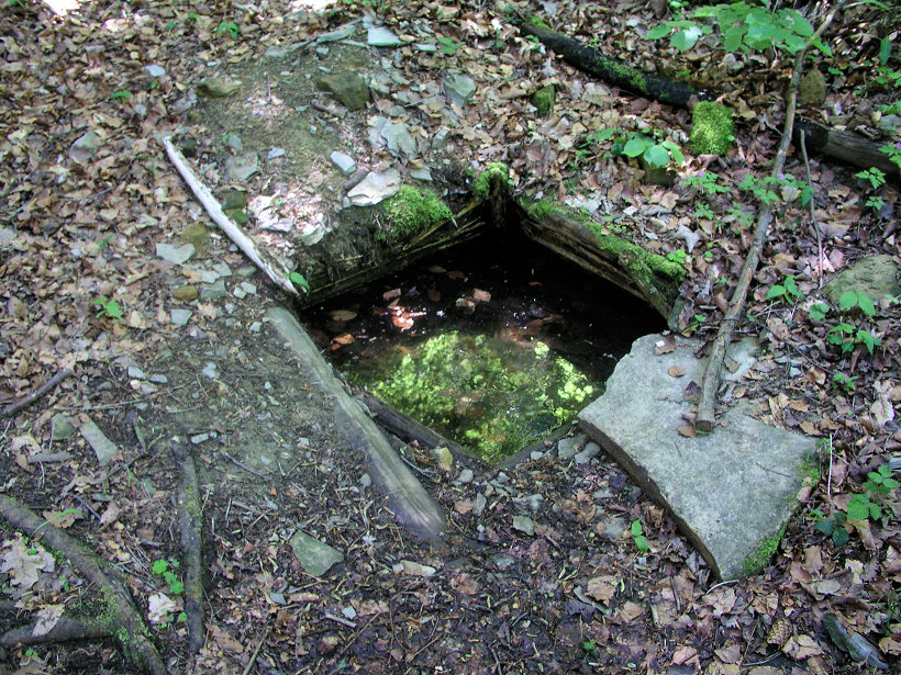 studánka bez jména (5233)