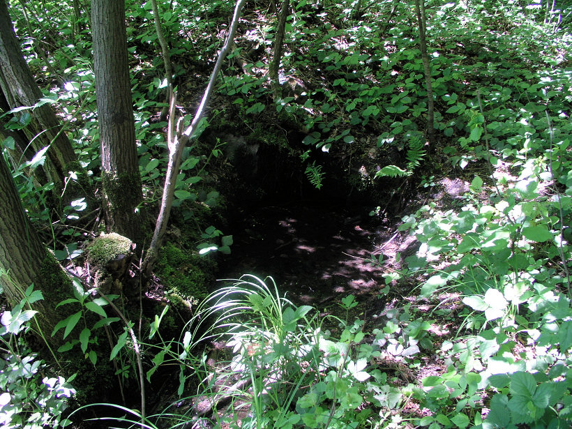 studánka bez jména (5234)