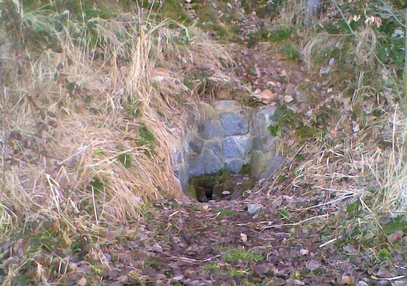 studánka bez jména (5236)