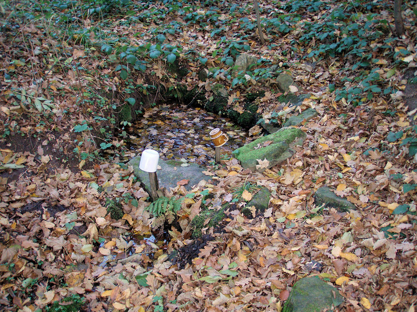 studánka bez jména (5237)