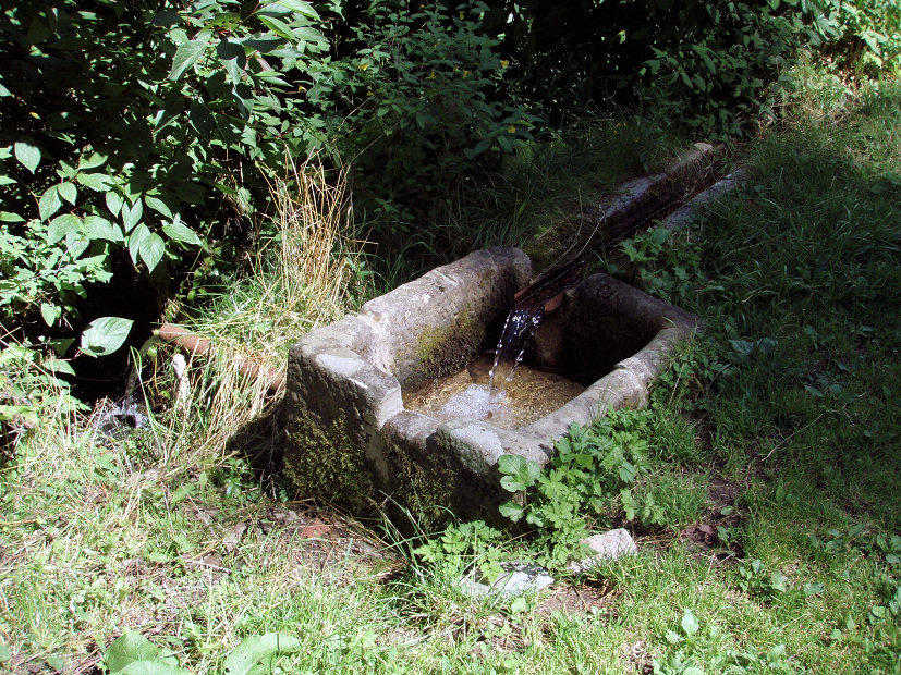 studánka bez jména (5249)