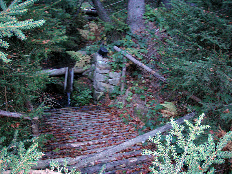 studánka bez jména (5253)