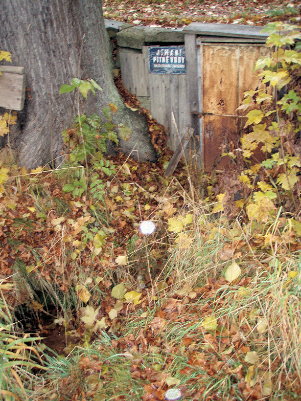 studánka bez jména (5254)
