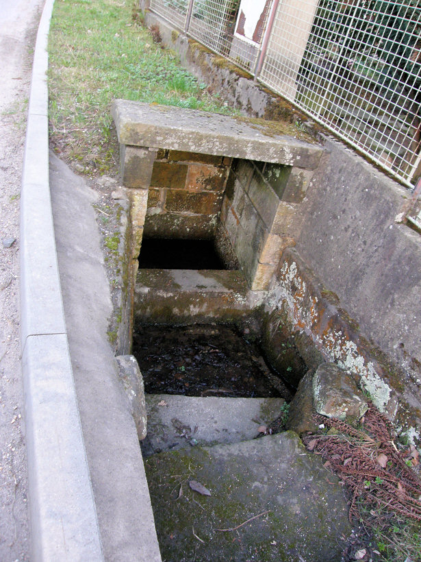 studánka bez jména (5260)