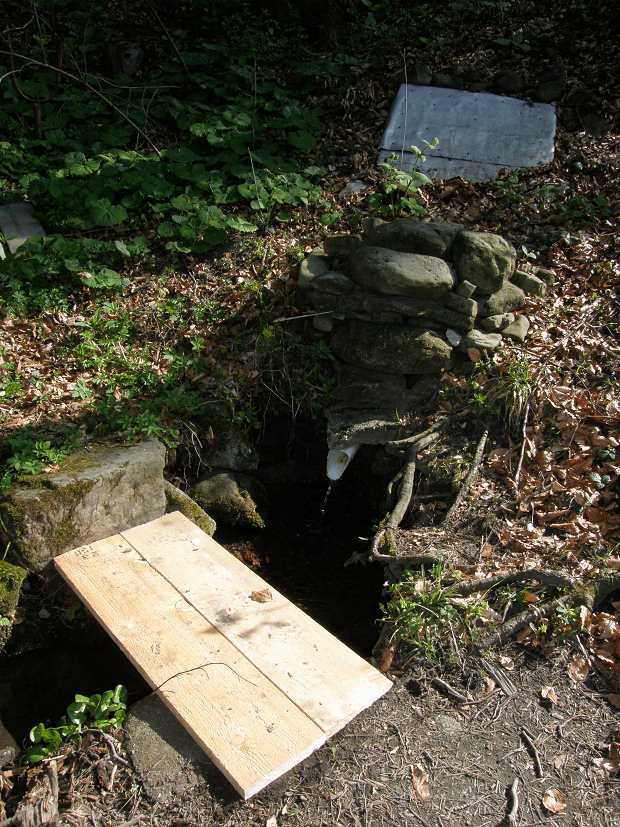 studánka Pod Bukem (5262)