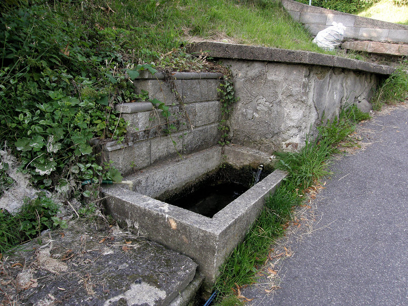 studánka bez jména (5266)