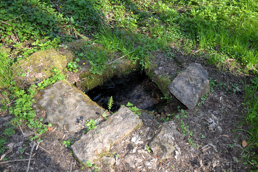 studánka bez jména (5273)
