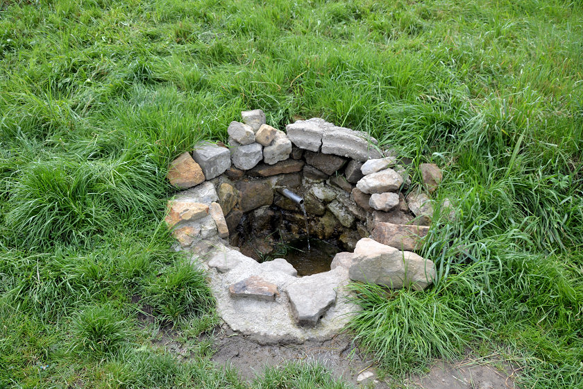 studánka bez jména (5279)
