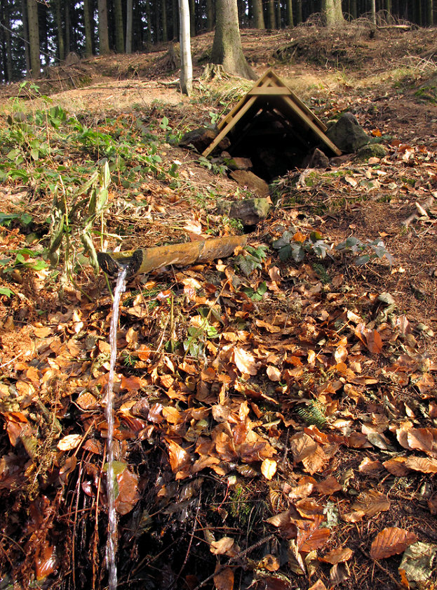 studánka V Hůrce (5281)