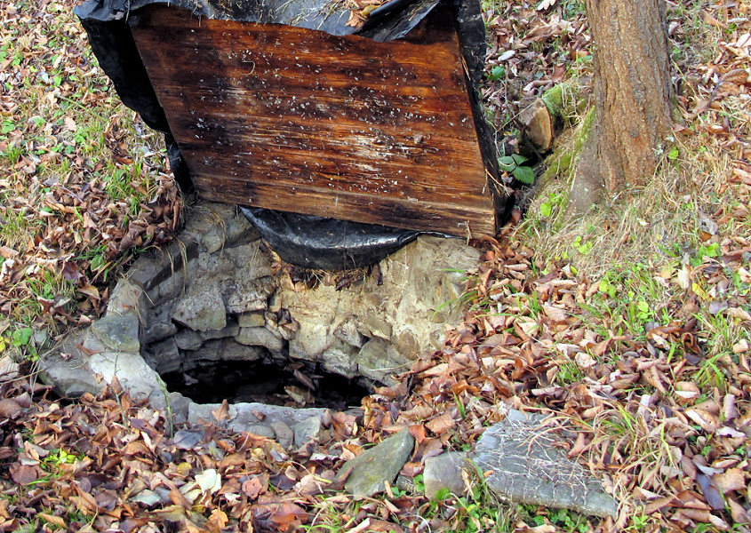 studánka U Šimků II (5285)