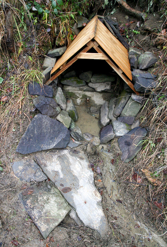 Kocúrkova studánka (5286)