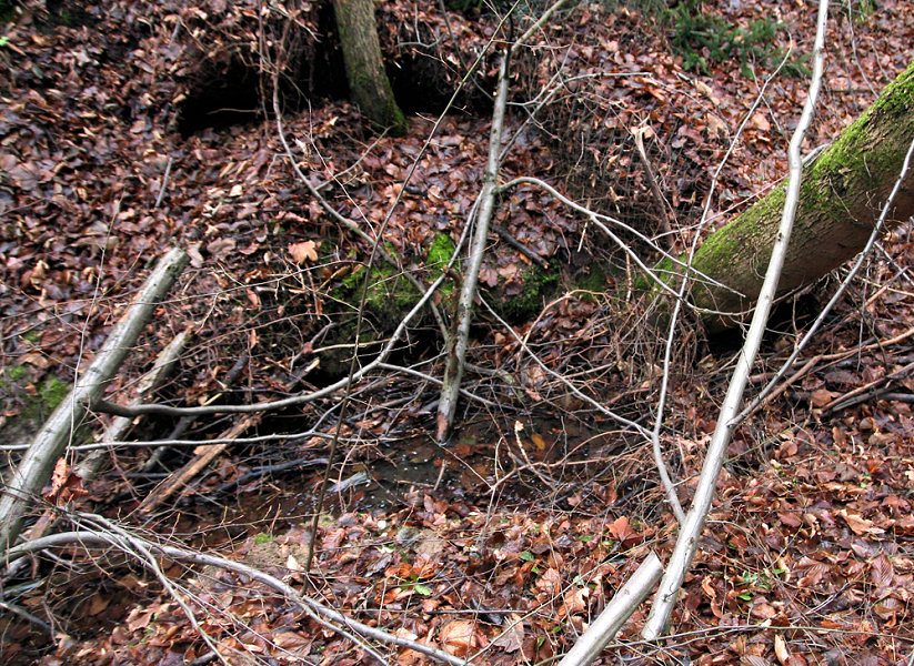 studánka V Dobroníži (5288)