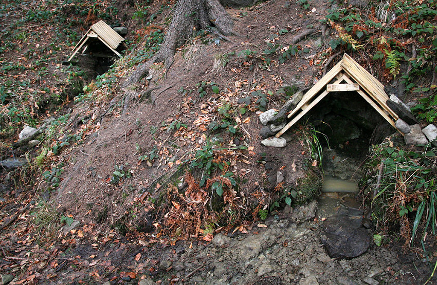studánka Vlčí pramen II (5291)
