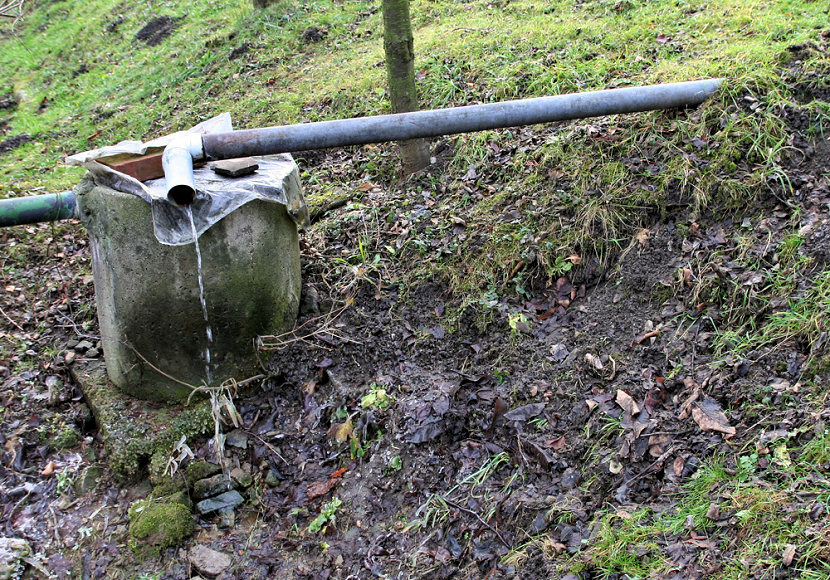 studánka Na Lisinské (5292)