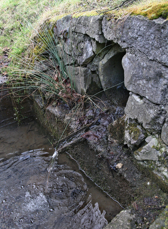 studánka U Vodojemu (5293)