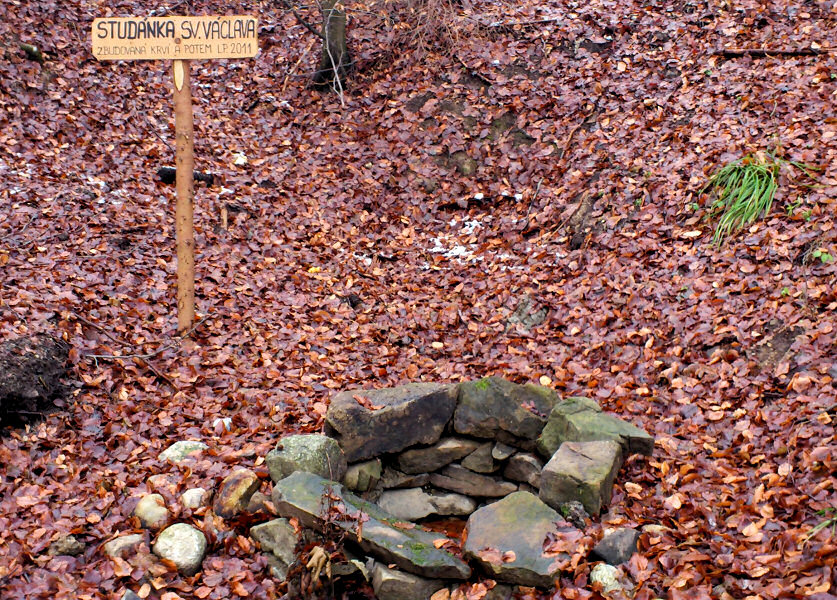 Studánka sv. Václava (5294)