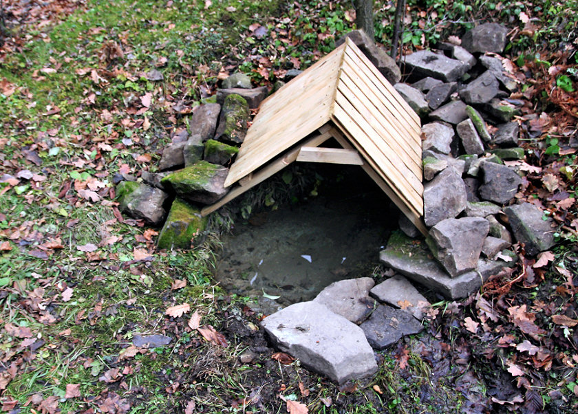 studánka Jaroškova (5295)