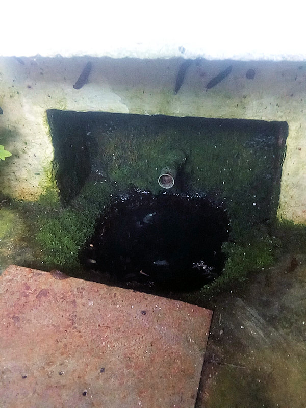 studánka Zdravá voda (5309)