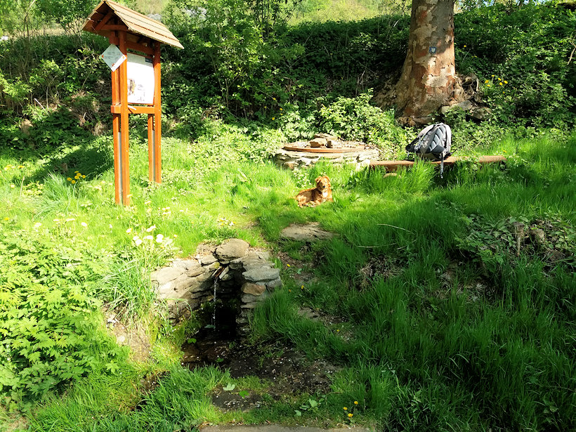 studánka U Silnice (5313)