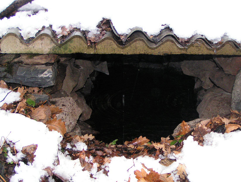 Studánka pod dubem (5315)
