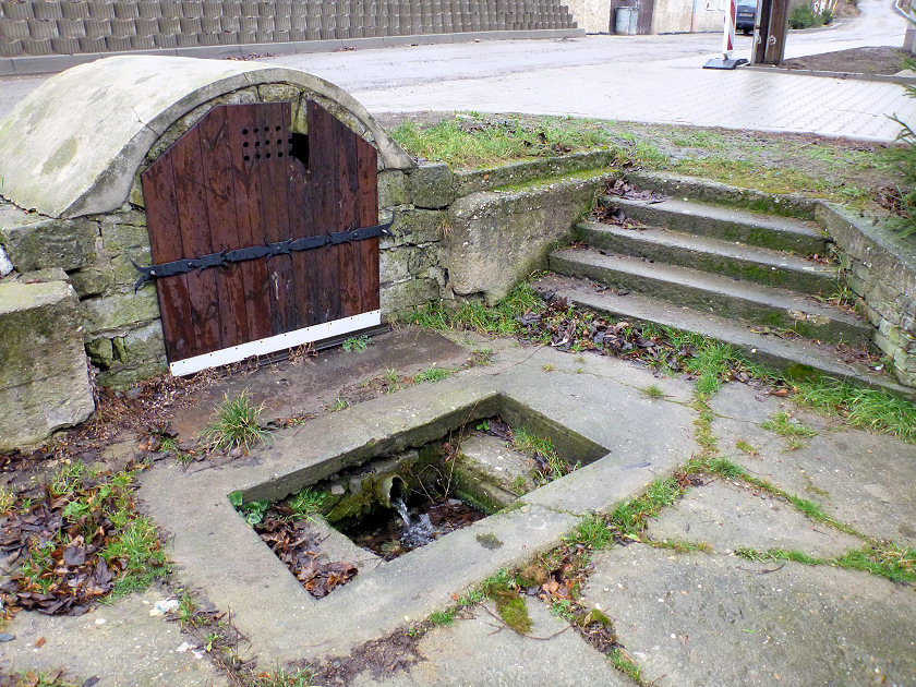 studánka U studánky (5316)