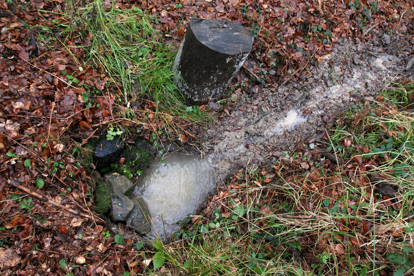 pramen Karlova studánka (5329)